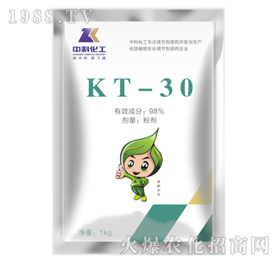 �����壨KT-30��-�пƻ���