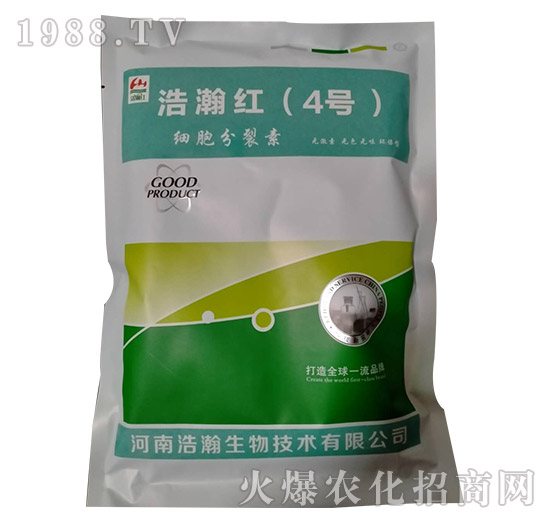 ��(x��)��������-��嫼t��4̖��-�������