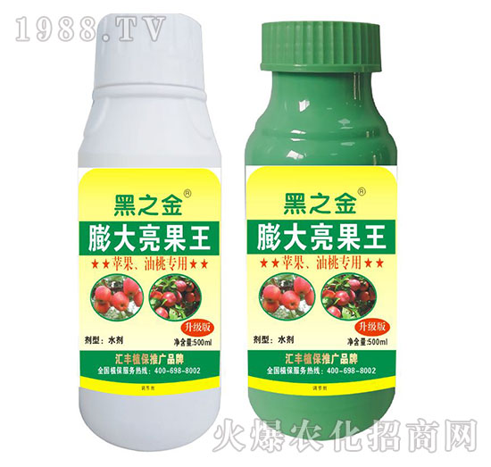 �O�������Ҍ������������-�R�Sֲ��