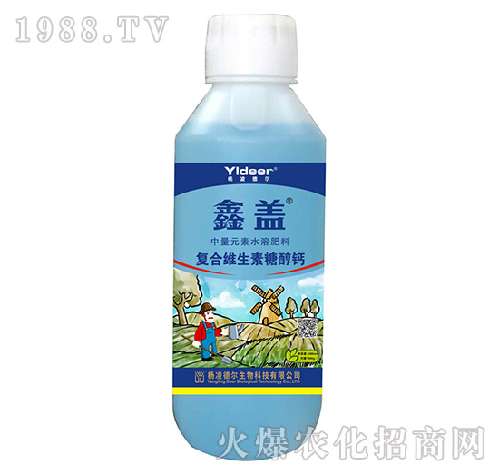 �ͺϾS�����Ǵ��}-���w-� �����