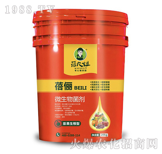 ���������΢�������-�탫-�����