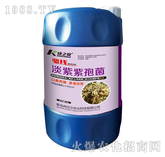 �������߾�-�(q��)��-��֮�W-��ؐ��