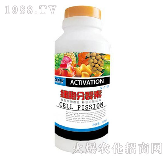 ��(x��)�������؏�(f��)����-��ʿ��