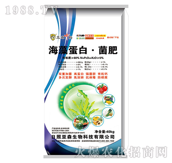 ���嵰�ס�����-��ɭ����