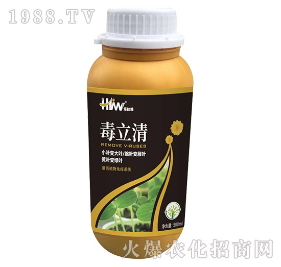 ������-�����S