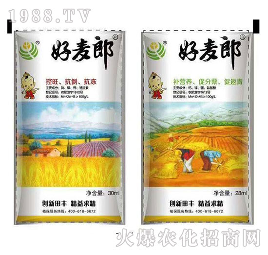 С�������~���-������-���S����