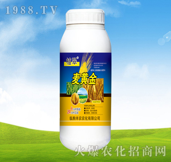 ���S��-ֲ��-�S�r(n��ng)�r(n��ng)��