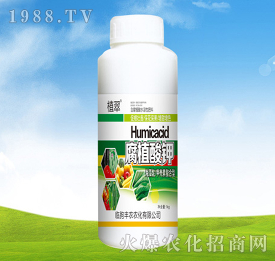 ��ֳ���-�S�r�r��