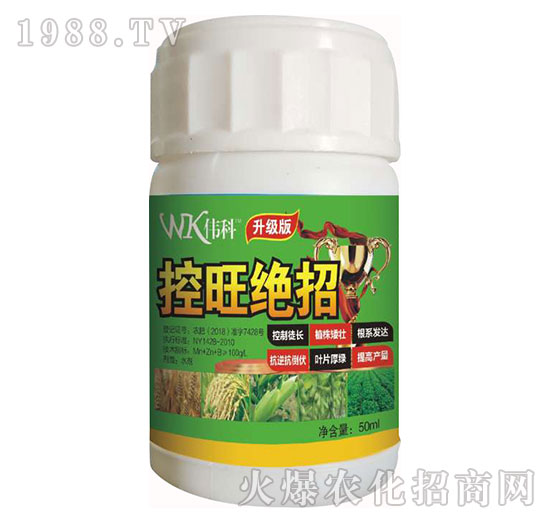 �����^��-���ƷʘI(y��)