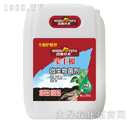 �����o����΢�������-���S��-�~���~��