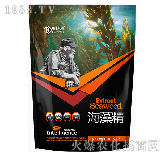 ���徫-ؐ����