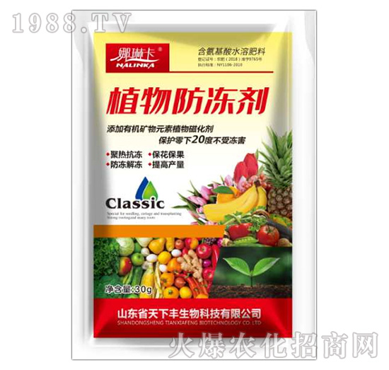 ���������-���տ�-�����S