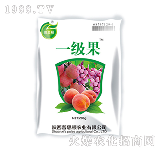 һ��(j��)��-����-��˼�D�r(n��ng)�I(y��)