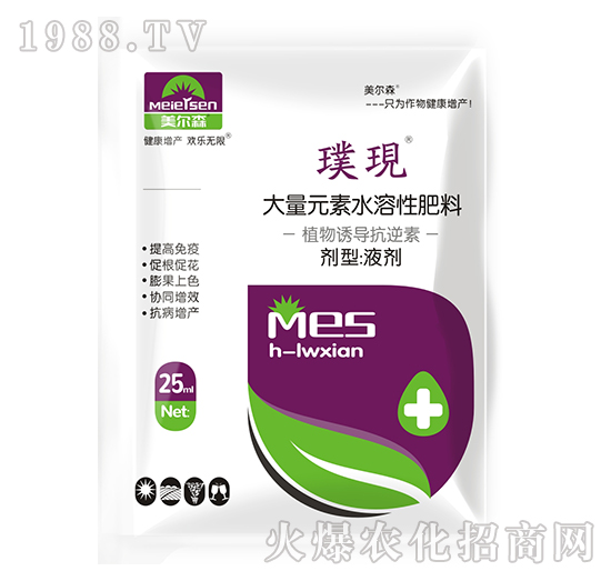 ֲ���T��������-豬F-����ɭ