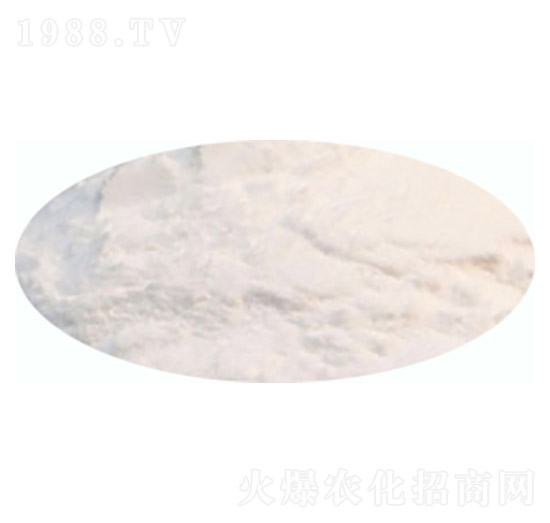 �����}-����