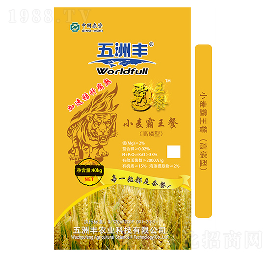 ������С��������-�����S