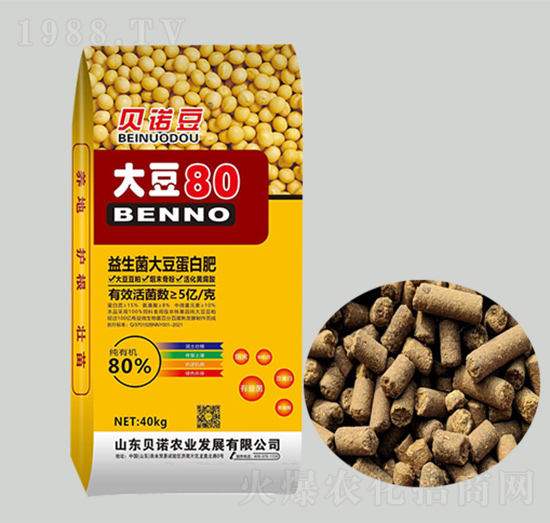 �������󶹵��׷�-ؐ�Z