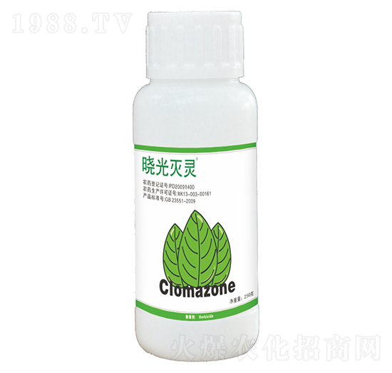 480��ÿ�����f����-�Թ���`-ӯ�x