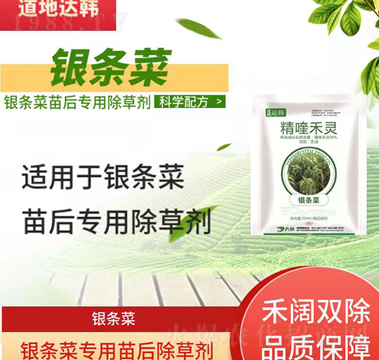 �y�l�˳��݄�-�y�l�����-�y�l�ˌ�(zhu��n)��-���n