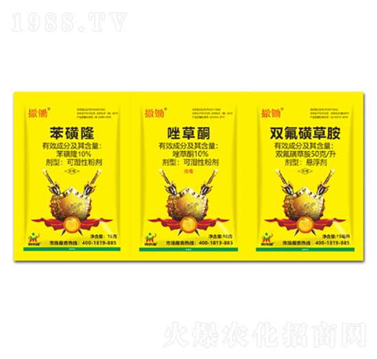 ����¡+���ͪ+�p���ǲݰ�-���z-������