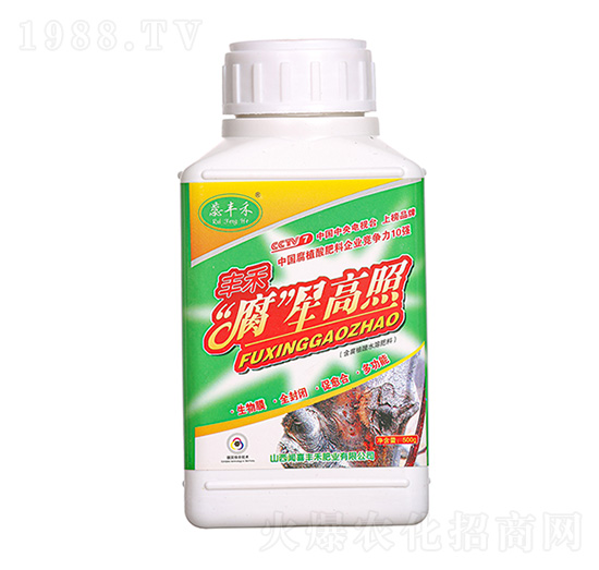 ���Ǹ��բ�� ���S��