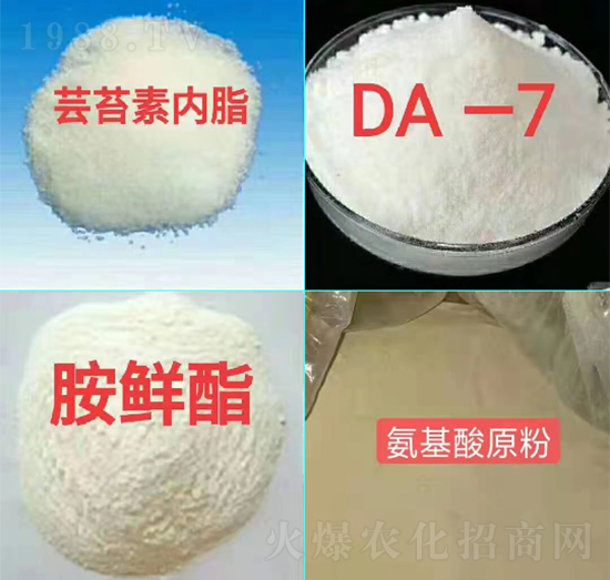 ֲ���{(di��o)��(ji��)���ײ�-��ɽ����