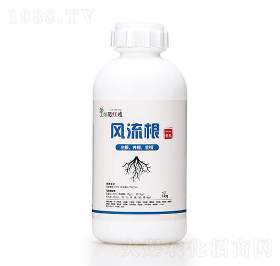 �L�����������B(y��ng)���Ѹ����G�ʼt��