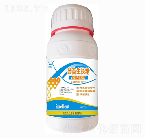 �|̦���L�� ���ƷʘI(y��)