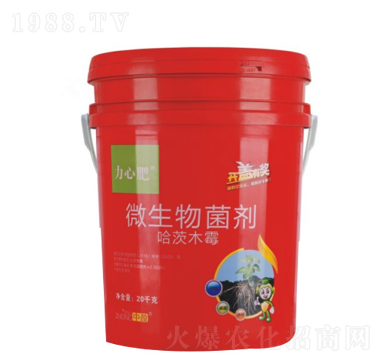 ΢������� ���ķ� ��ӯ