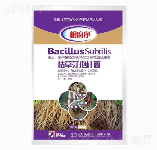 �ݲ�ѿ�ߗU��-������-�_(k��i)��(y��u)�r(n��ng)�I(y��)