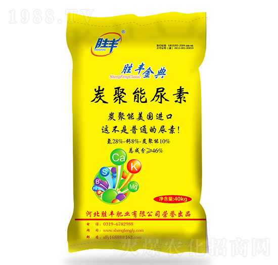 ̿��������-���S���-���S�ʘI(y��)