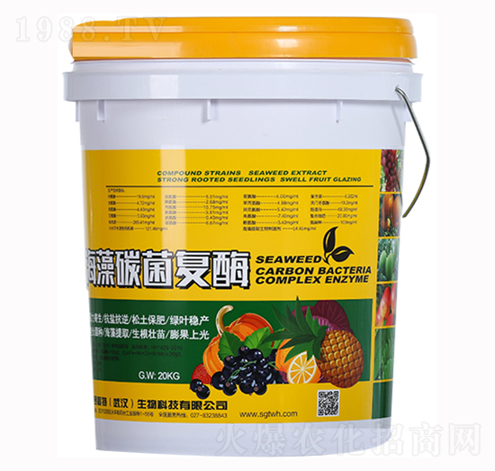 ����̼����ø-ِ����