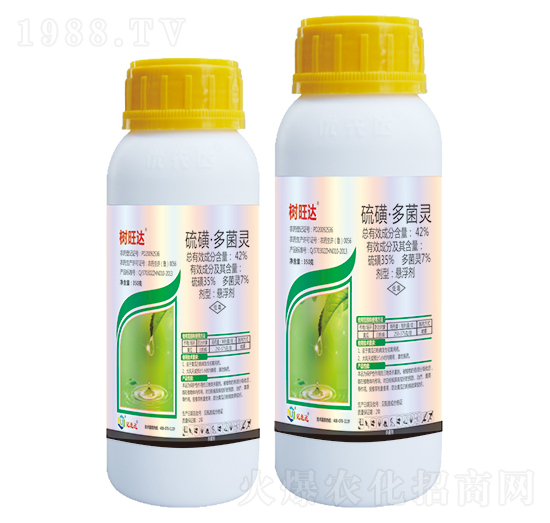 42%��ǡ�����`-�����_-��(y��u)���_