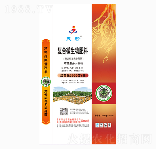 ��(f��)��΢�������24-8-8-���-����ʘI(y��)