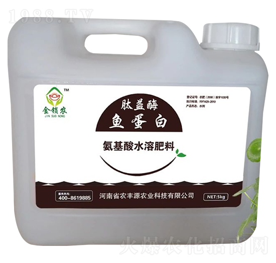 ����ø�~����-���i�r