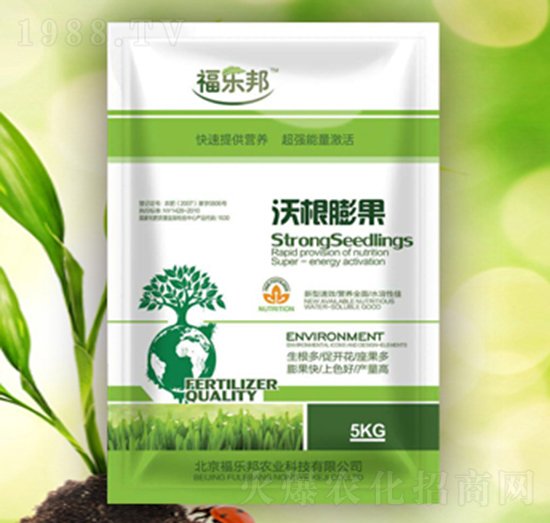 �ָ����-������