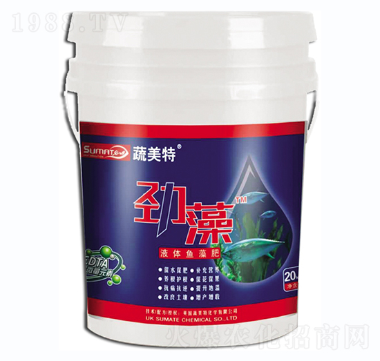 Һ�w�~(y��)���-����-������