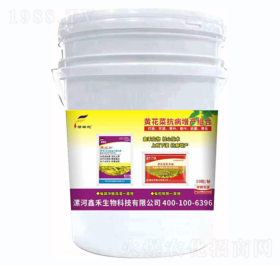 �S���˿������a�M��-�G���-�κ�����