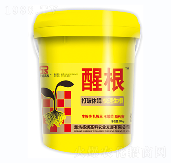 �Ѹ�-ʢ��(r��n)�߿�