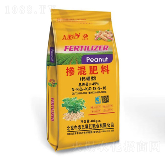 �}���͓������18-9-18-�����t