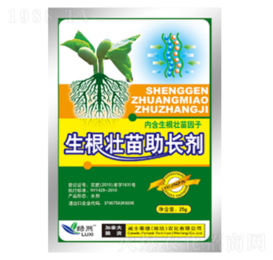 �����������L��-�G��-��ʿ�R��