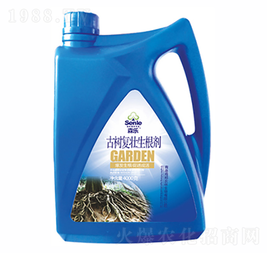 �Ř�͉�������-�����r��