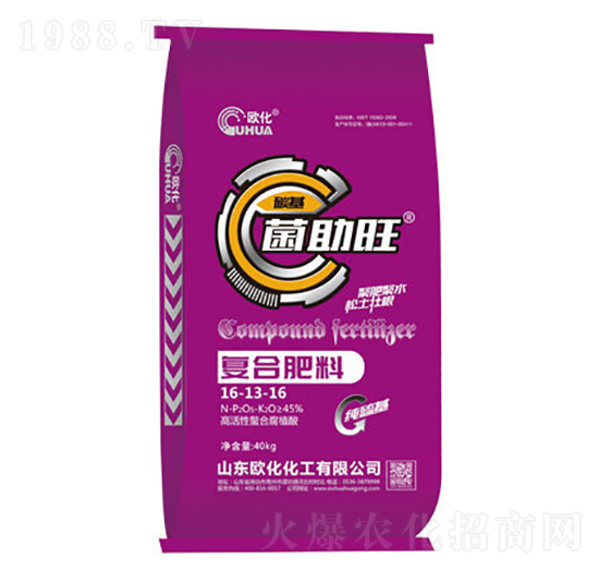 �������ͺϷ���16-13-16-�W��