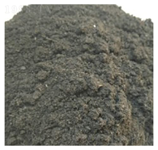 �����ЙC��-�ɺ�