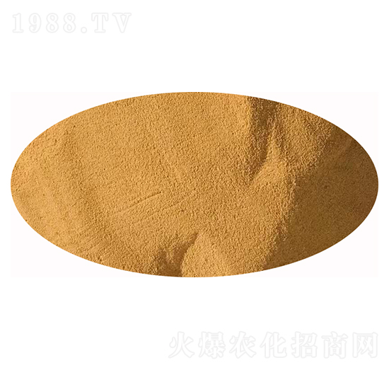 1200�|ԭ���N-�l(f��)ؔ(c��i)��