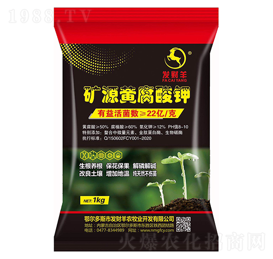 �VԴ�S�����-�l(f��)ؔ��