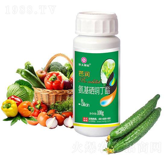 �������~����-�ŝ�-�r��ڈ@