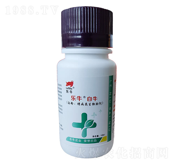 �׷ۡ��P�����������-��������ţ-�\��I(l��ng)��