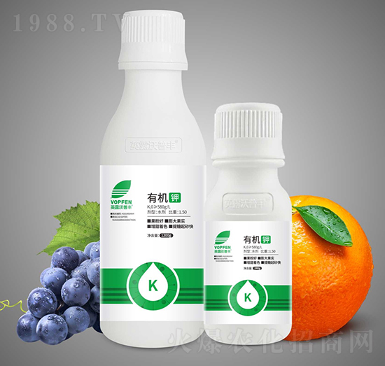 �ЙC⛣�����s⛷ʣ�-Ӣ¶�����S