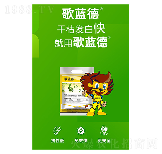 ���{��-�����A��